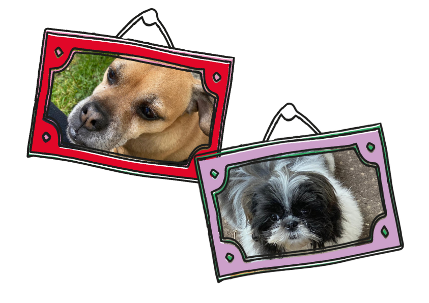 Buddy and Twts, our Greedy Guzzlers, proving raw dog food satisfies even the hungriest pups with healthy, tasty meals.