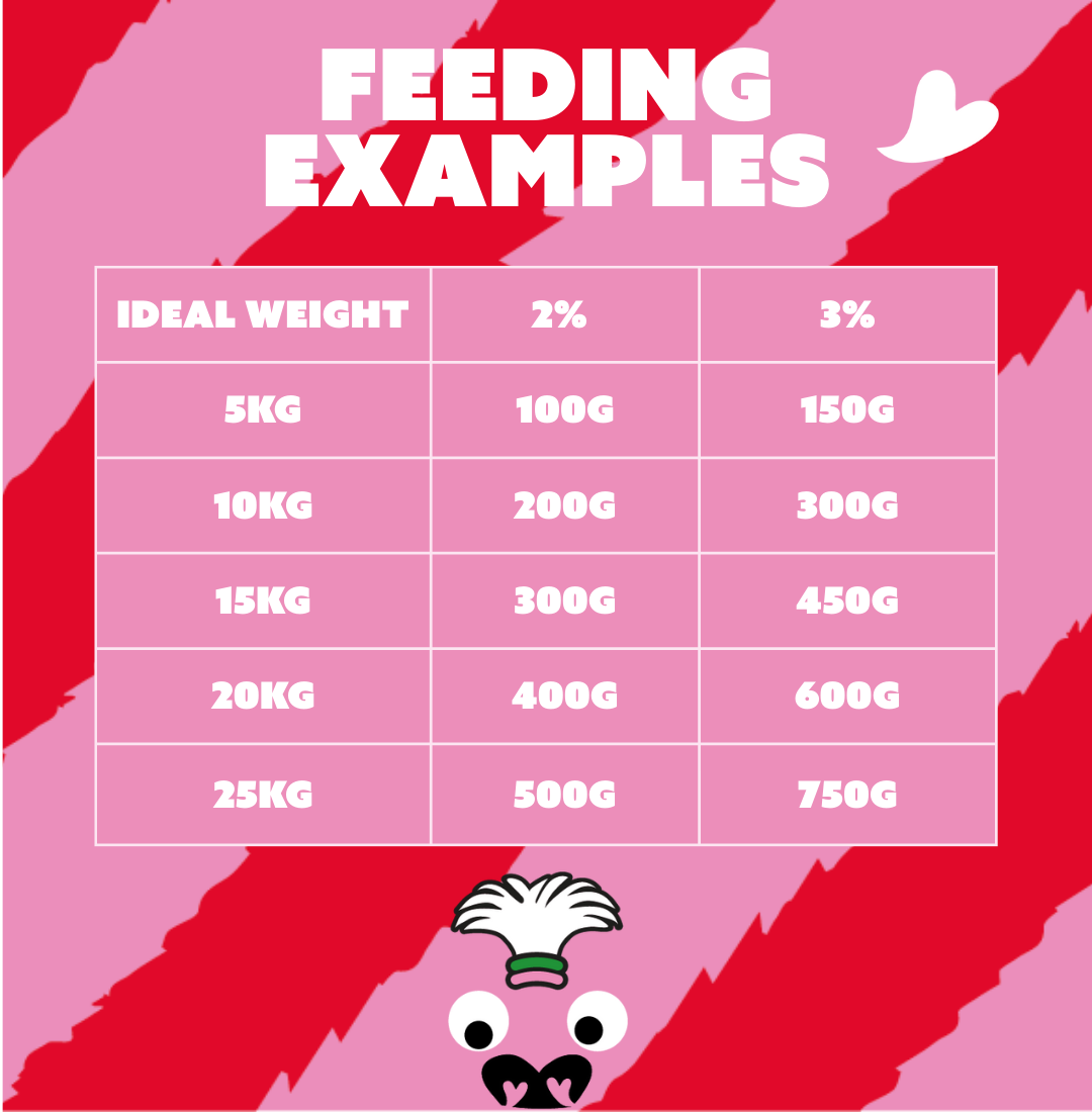 Raw feeding guide showing daily food amounts for dogs by weight, based on 2% and 3% of body weight. 