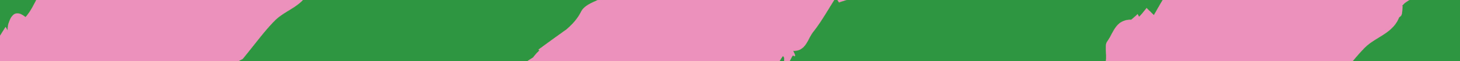 Mo&Co's signature furry pattern in pink and green, reflecting the raw dog food brand’s playful personality.