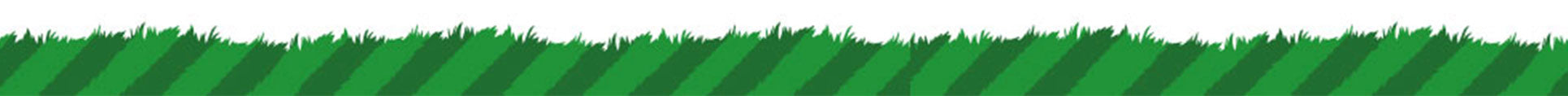 Illustration of green grass blades on a white background, symbolising nature, freshness, and raw feeding from the ground up.