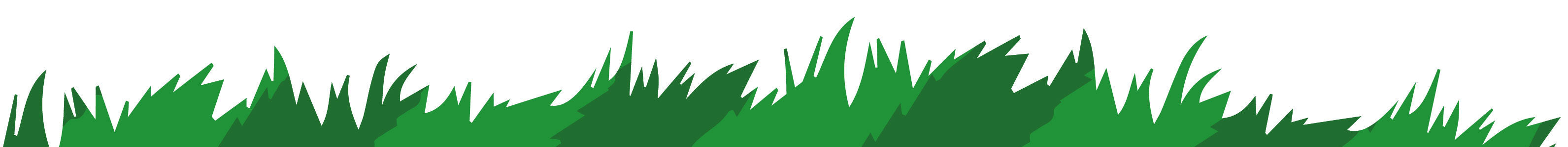 Illustration of green grass blades on a white background, symbolising nature, freshness, and raw feeding from the ground up.
