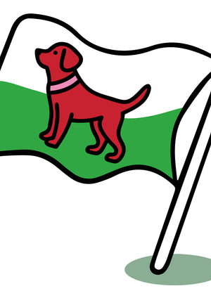 Illustration of a red dog on a green and white flag, symbolising a Welsh raw dog food business focused on natural, healthy nutrition for happy pups.