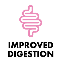 Pink gut icon with text 'Improved Digestion' highlighting the benefits of raw dog food for gut health and easy digestion.