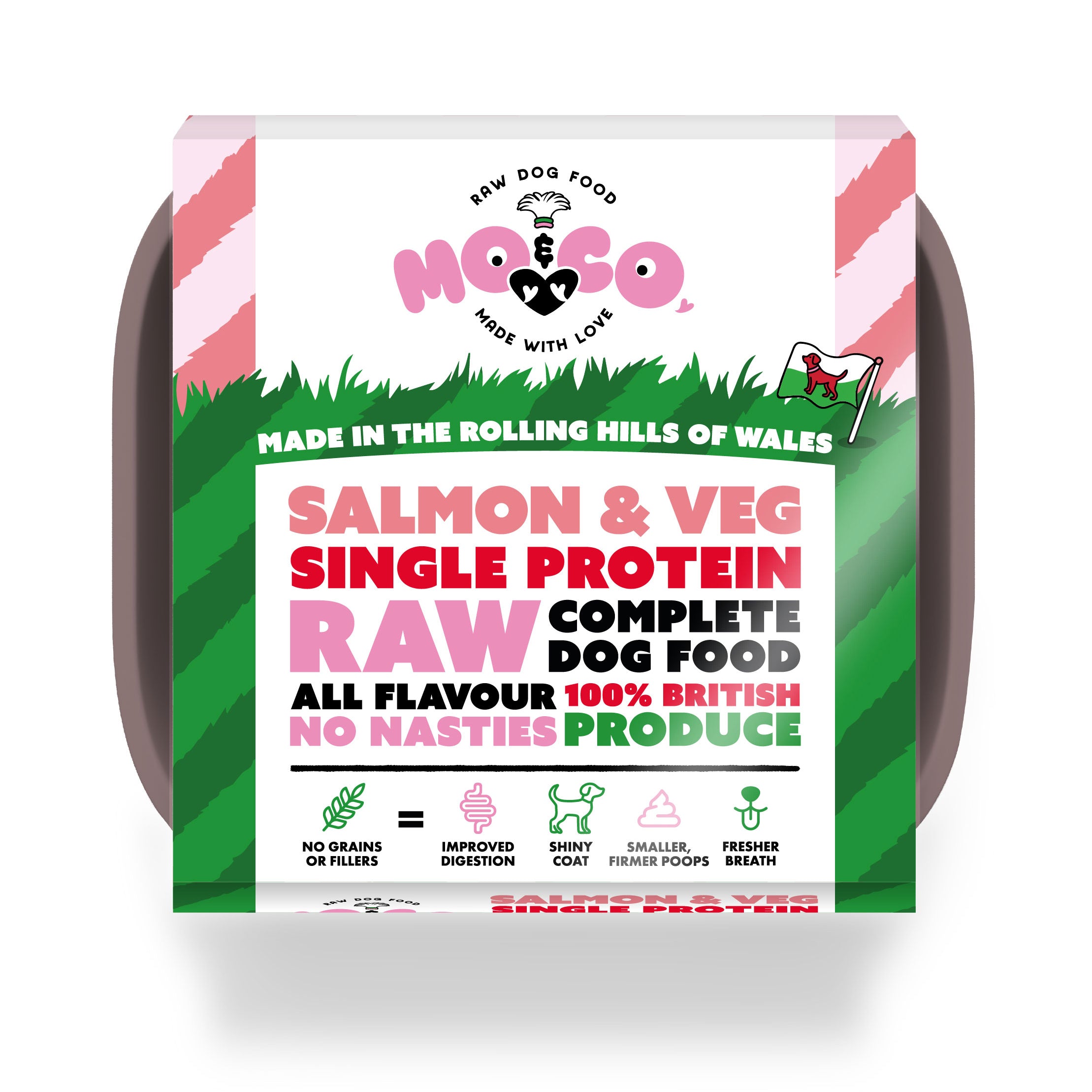 Mo&Co Salmon & Veg raw dog food tray—complete, single protein, 100% British, grain-free and made in Wales.