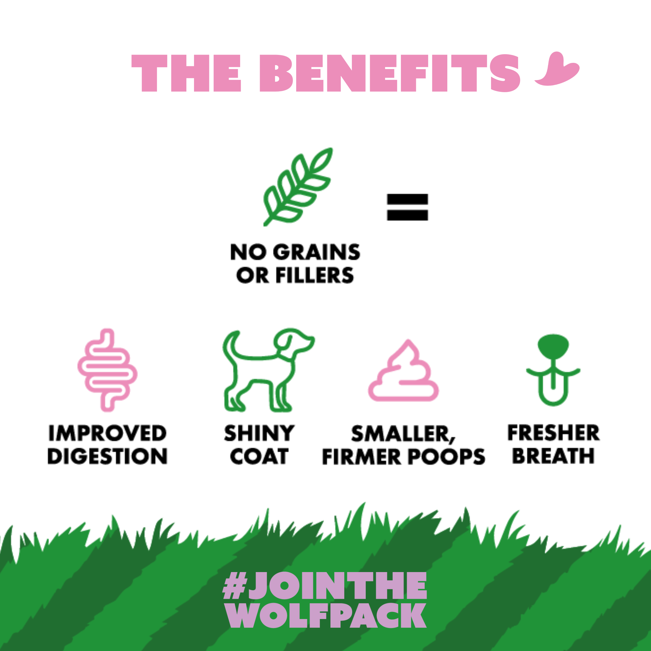 Icons showing raw dog food benefits: no grains, better digestion, shiny coat, firmer poops, fresher breath. 